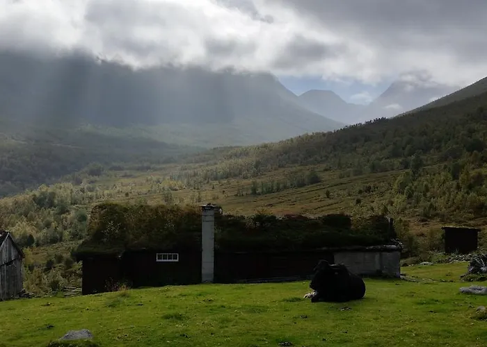 佩崔尼斯酒店 Norddal